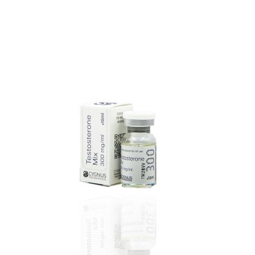 Testosterone Mix 300 mg Cygnus